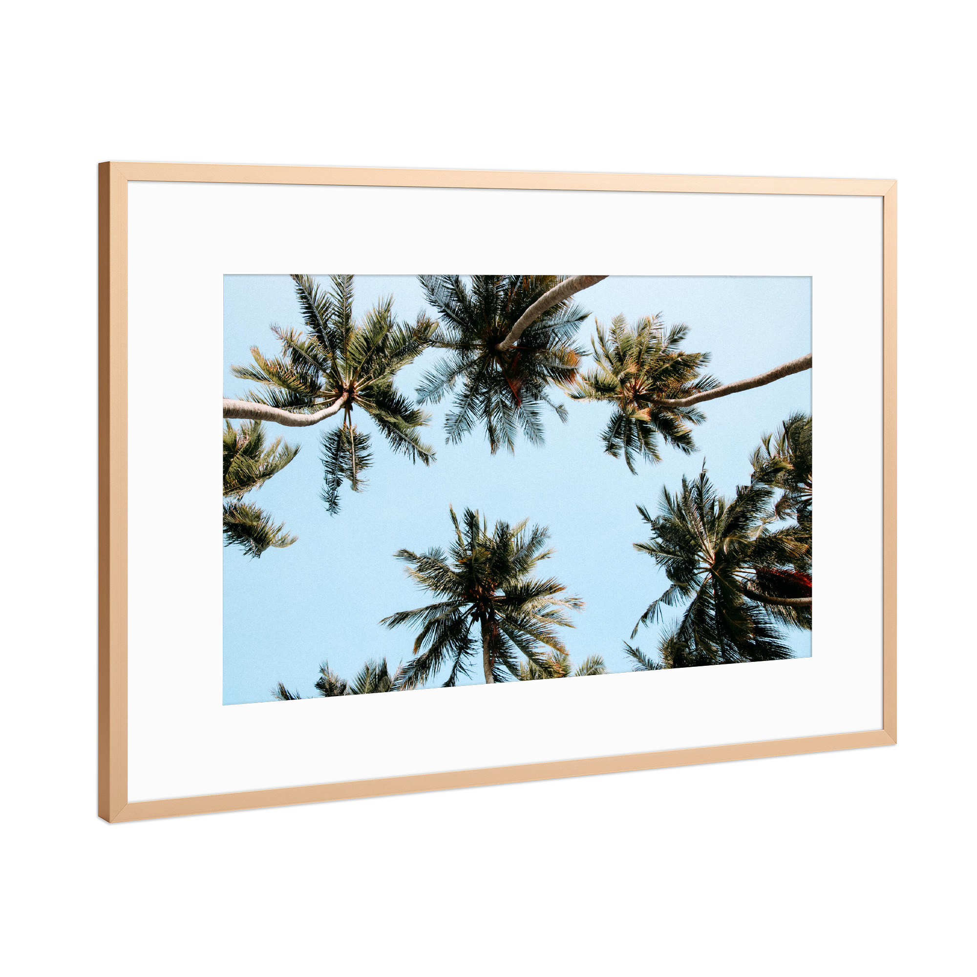 Poster mit Rahmen Kupfer "Unter den Palmen" artboxONE - Natur,Reise,Reise / Asien - Palmen,Palm trees,Natur,Botanical,Grün,Blau,Reisen,Strand,Meer