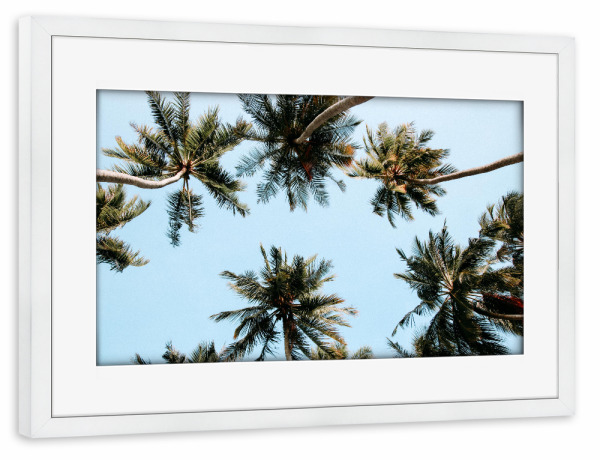 Poster mit Rahmen weiß "Unter den Palmen" artboxONE - Natur,Reise,Reise / Asien - Palmen,Palm trees,Natur,Botanical,Grün,Blau,Reisen,Strand,Meer