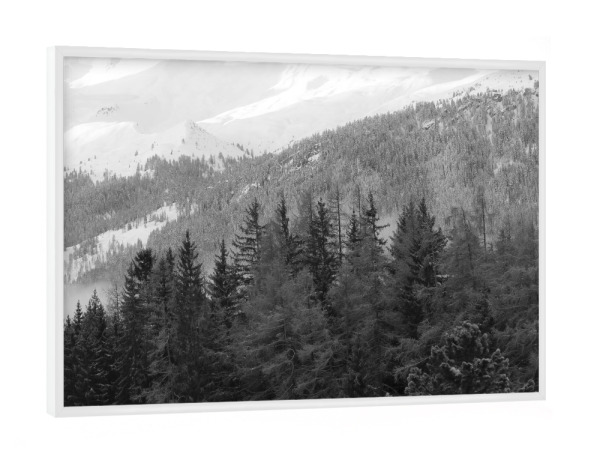 Poster mit weißem Rahmen "Schneezauber in schwarz/weiss" artboxONE - Natur,Reise