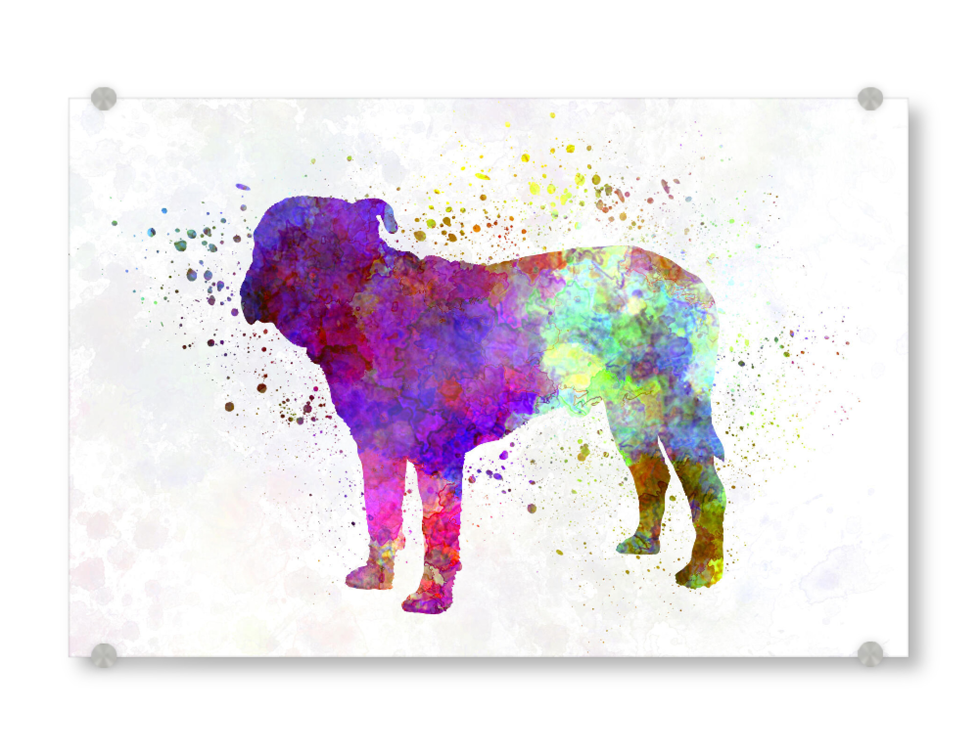 Acrylglasbild "Majorca Mastiff dog" artboxONE - Tiere,Abstrakt - Dog,Dogs,Pet,Animal,Mammal,Watercolor,Dog poster,Illustration,Abstract,Hund,Tier