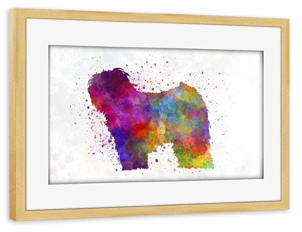 Poster mit Rahmen kiefer "Puli in watercolor" artboxONE - Tiere,Abstrakt