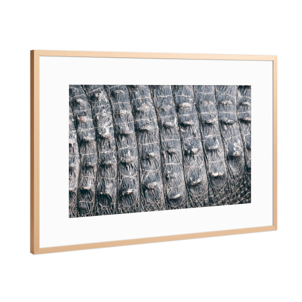 Poster mit Rahmen Kupfer "Krokohaut" artboxONE - Natur,Tiere,Schwarzweiß