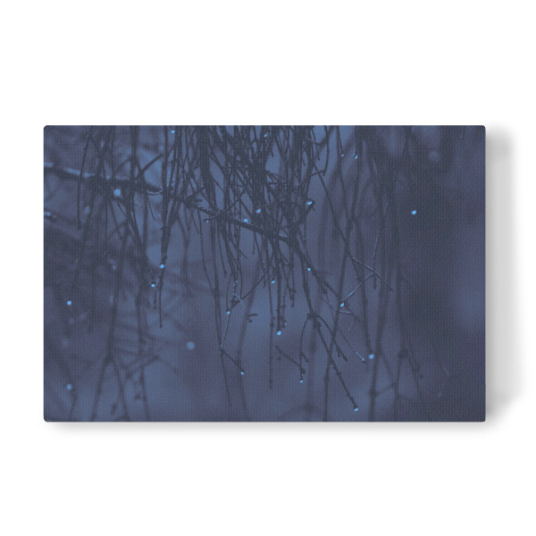 Leinwandbild "Regentropfenstimmung" artboxONE - Natur