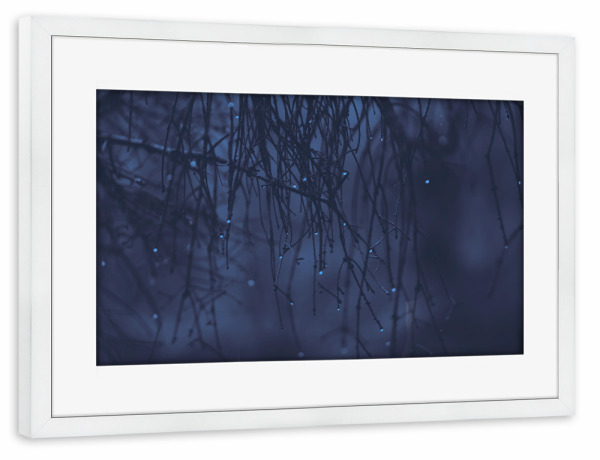 Poster mit Rahmen weiß "Regentropfenstimmung" artboxONE - Natur