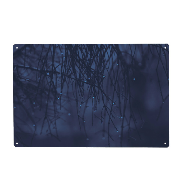 Metall Poster "Regentropfenstimmung" artboxONE - Natur