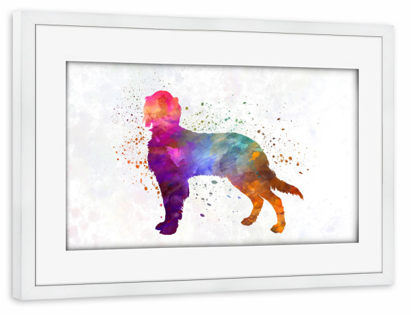 Poster mit Rahmen weiß "Picardy Spaniel" artboxONE - Tiere,Abstrakt - Dog,Dogs,Pet,Animal,Mammal,Watercolor,Dog poster,Illustration,Abstract,Hund,Tier