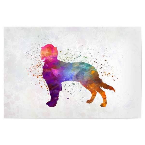 Poster "Picardy Spaniel" artboxONE - Tiere,Abstrakt - Dog,Dogs,Pet,Animal,Mammal,Watercolor,Dog poster,Illustration,Abstract,Hund,Tier