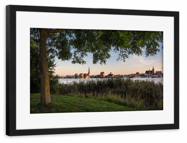 Poster mit Rahmen schwarz "Baum, Schilf, Warnow" artboxONE - Natur,Reise,Architektur,Städte / Weitere