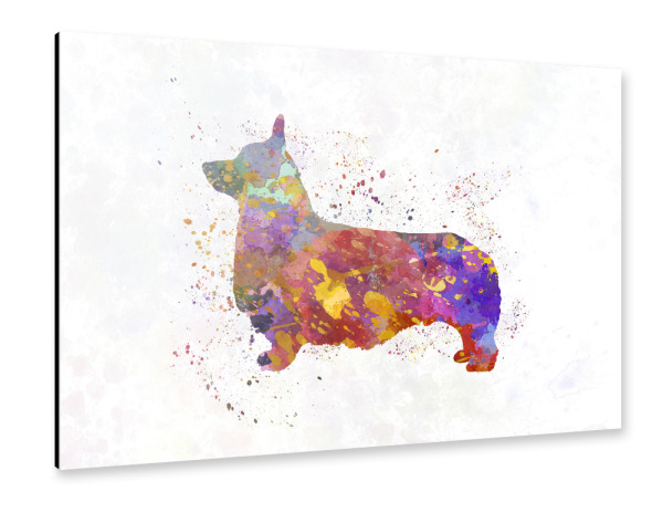 Alu-Dibond "Pembroke Welsh Corgi" 30x20 cm artboxONE