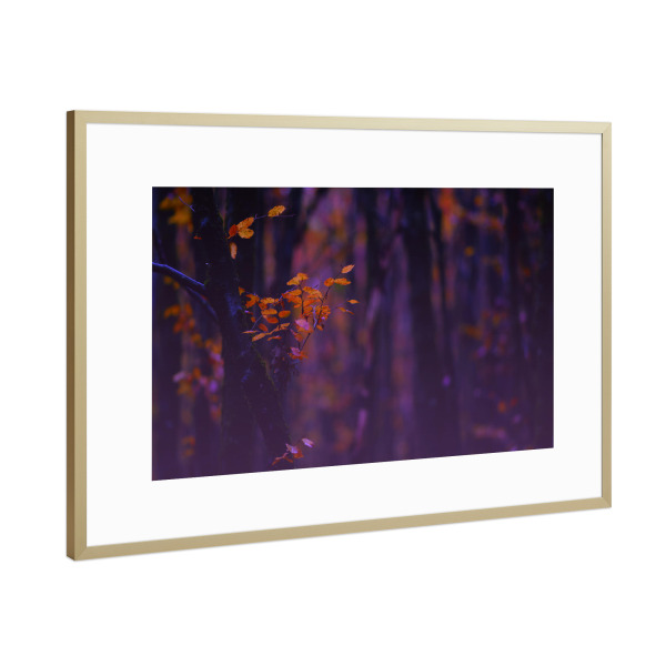 Poster mit Rahmen Gold "Wälder im Herbst" artboxONE - Natur