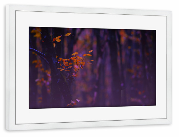 Poster mit Rahmen weiß "Wälder im Herbst" artboxONE - Natur