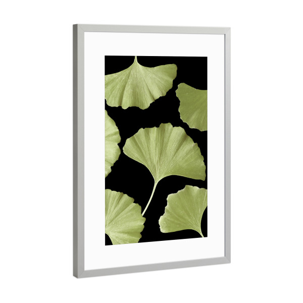 Poster mit Rahmen Silber "Ginkgo Blätter Grün" artboxONE - Natur,Floral,Abstrakt