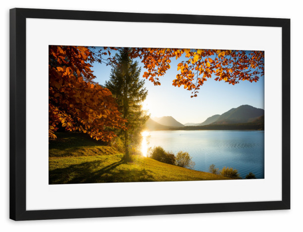 Poster mit Rahmen schwarz "Herbst am Sylvensteinspeicher" artboxONE - Natur,Reise