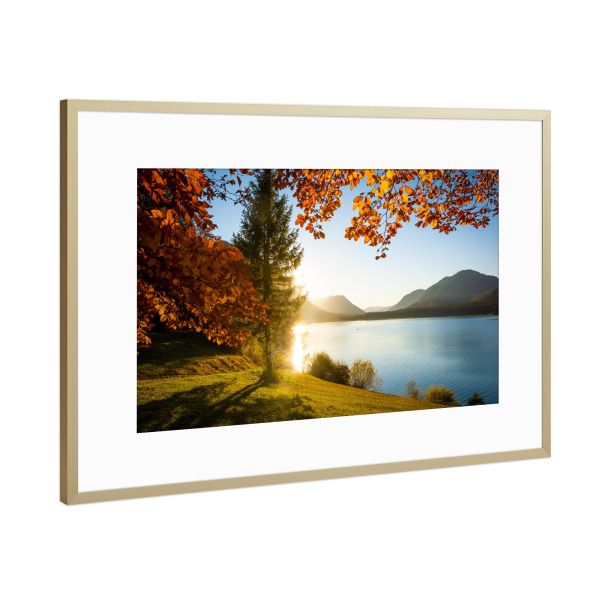 Poster mit Rahmen Gold "Herbst am Sylvensteinspeicher" artboxONE - Natur,Reise