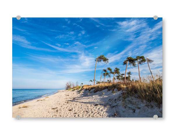Acrylglasbild "Strand, Bäume, Meer" artboxONE - Natur,Reise,Reise / Strand und Meer