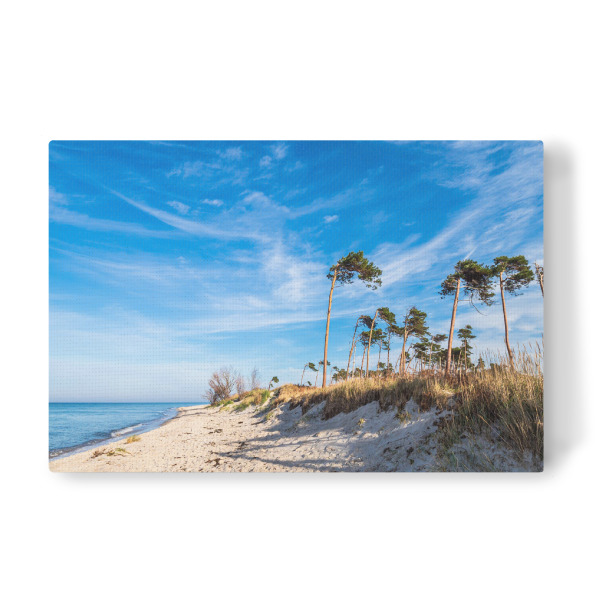 Leinwandbild "Strand, Bäume, Meer" artboxONE - Natur,Reise,Reise / Strand und Meer
