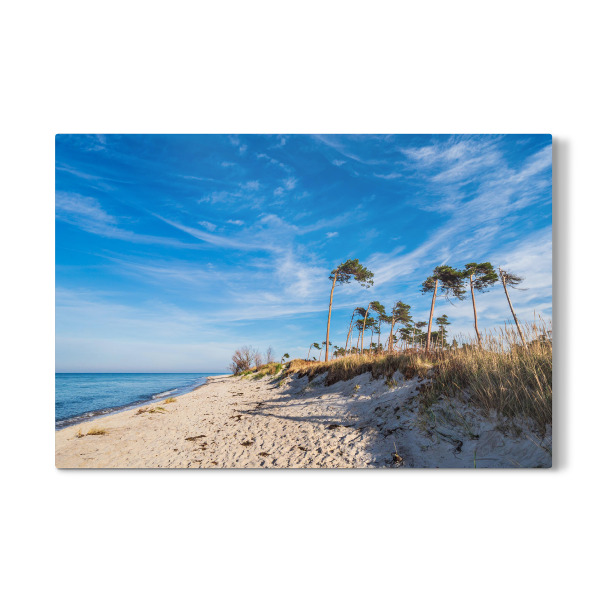 Galerie-Print "Strand, Bäume, Meer" 30x20 cm artboxONE