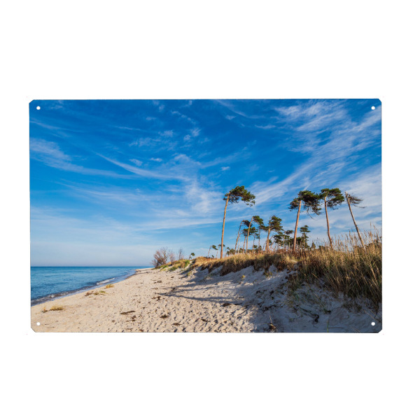 Holzbild "Strand, Bäume, Meer" artboxONE - Natur,Reise,Reise / Strand und Meer