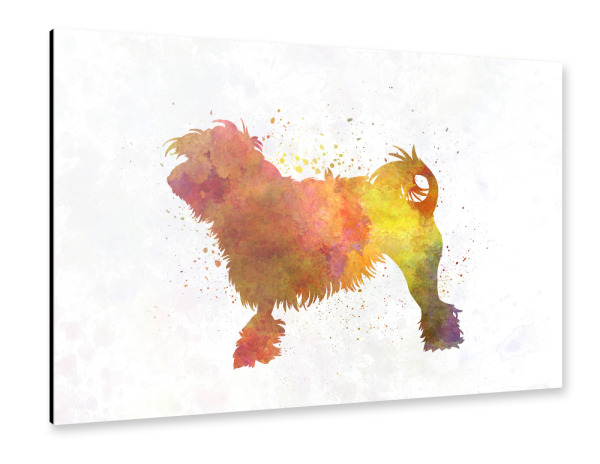 Alu-Dibond "Little Lion Dog in watercolor" 30x20 cm artboxONE