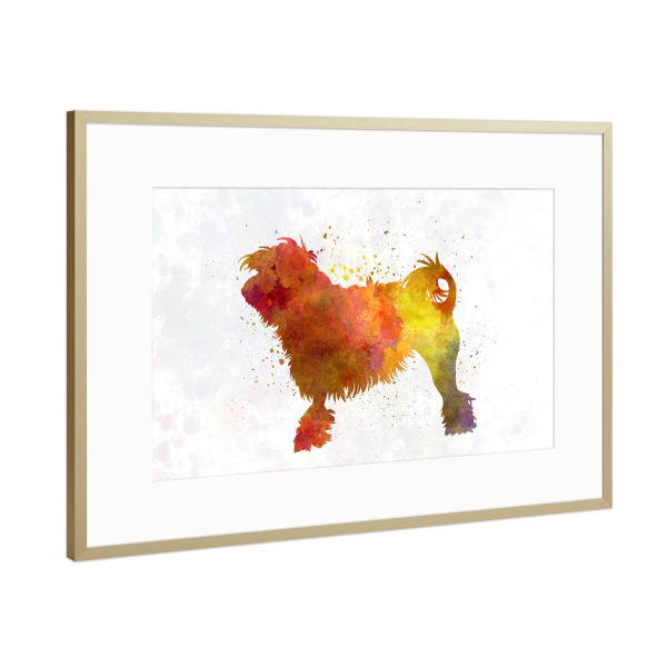 Poster mit Rahmen Gold "Little Lion Dog in watercolor" artboxONE - Tiere,Abstrakt
