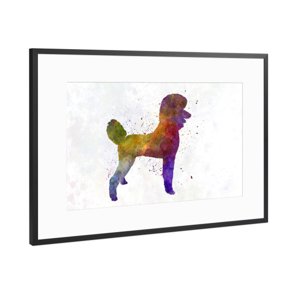 Poster mit Rahmen Schwarz (Metallic) "Poodle in watercolor" artboxONE - Tiere,Abstrakt