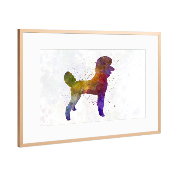 Poster mit Rahmen Kupfer "Poodle in watercolor" artboxONE - Tiere,Abstrakt