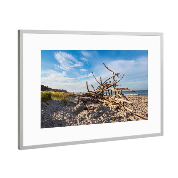 Poster mit Rahmen Silber "Düne, Baumstämme, Meer" artboxONE - Natur,Reise,Reise / Strand und Meer