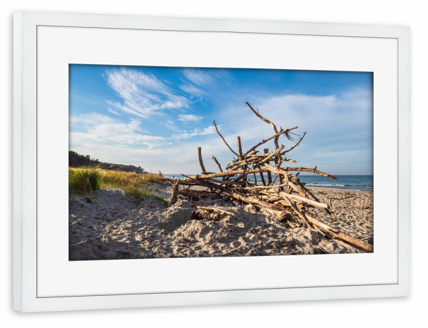 Poster mit Rahmen weiß "Düne, Baumstämme, Meer" artboxONE - Natur,Reise,Reise / Strand und Meer