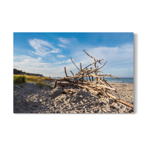 Galerie-Print "Düne, Baumstämme, Meer" 30x20 cm artboxONE
