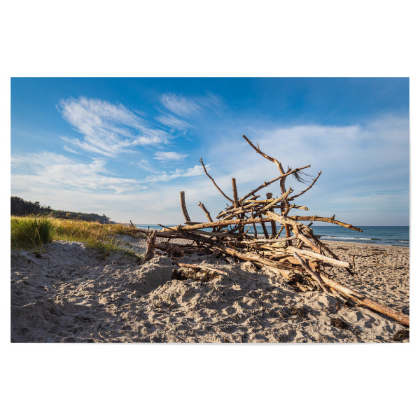 Poster 30x20 cm "Düne, Baumstämme, Meer" artboxONE - Natur,Reise,Reise / Strand und Meer