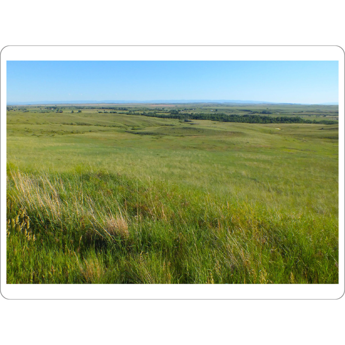 Tischset "Prärielandschaft" artboxONE - Natur,Reise,Reise / Länder