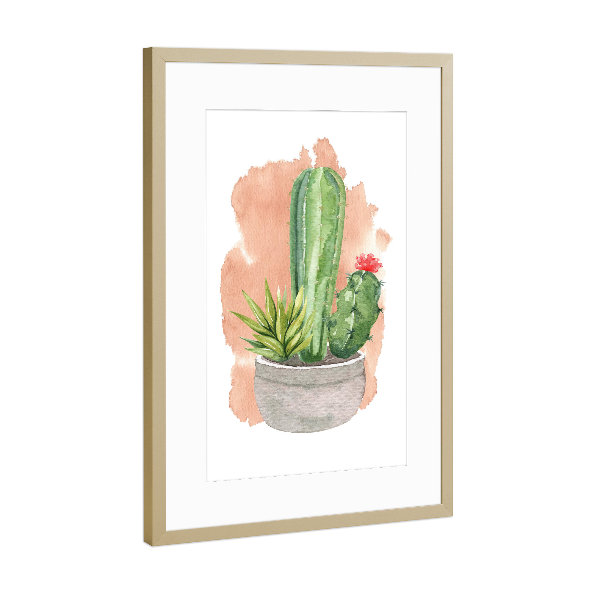Poster mit Rahmen Gold "Kakteen im Steintopf mit Blüte" artboxONE - Natur,Floral - Kaktus,Blume,Topf,Stein,Blühen,Pflanze,Plant,Cacteen