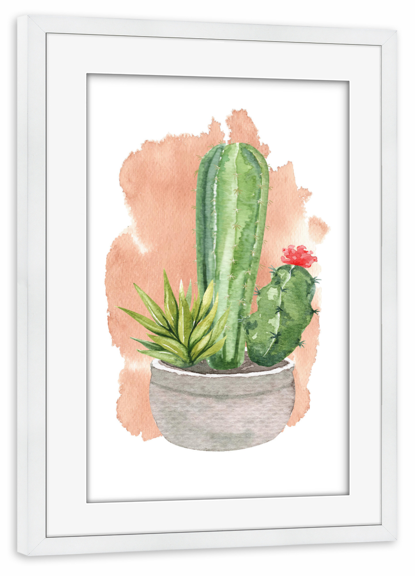 Poster mit Rahmen weiß "Kakteen im Steintopf mit Blüte" artboxONE - Natur,Floral - Kaktus,Blume,Topf,Stein,Blühen,Pflanze,Plant,Cacteen