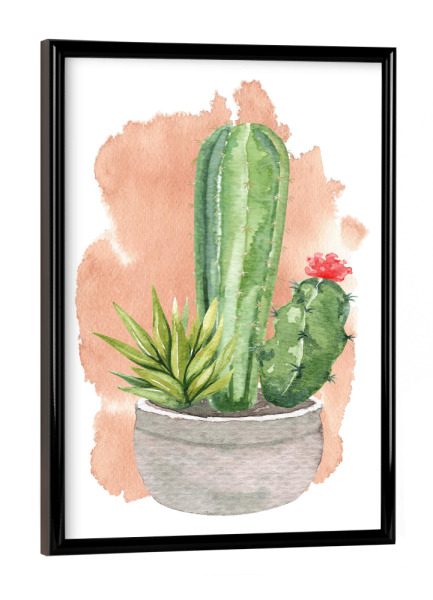 Poster mit schwarzem Rahmen "Kakteen im Steintopf mit Blüte" artboxONE - Natur,Floral - Kaktus,Blume,Topf,Stein,Blühen,Pflanze,Plant,Cacteen
