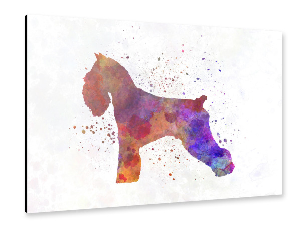 Alu-Dibond "Schnauzer dog in watercolor" 30x20 cm artboxONE