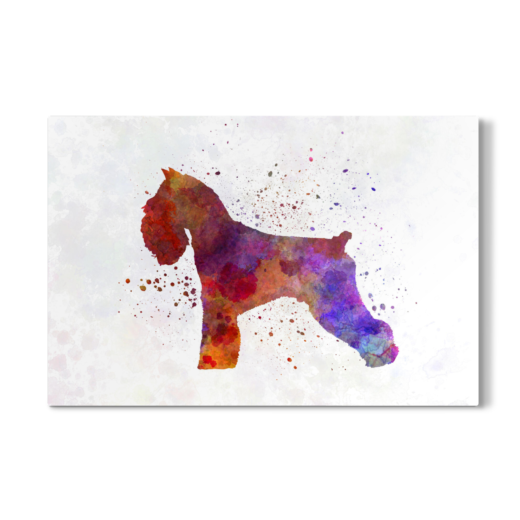 Galerie-Print "Schnauzer dog in watercolor" 30x20 cm artboxONE
