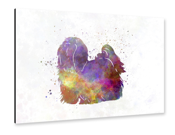 Alu-Dibond "Maltese in watercolor" 30x20 cm artboxONE