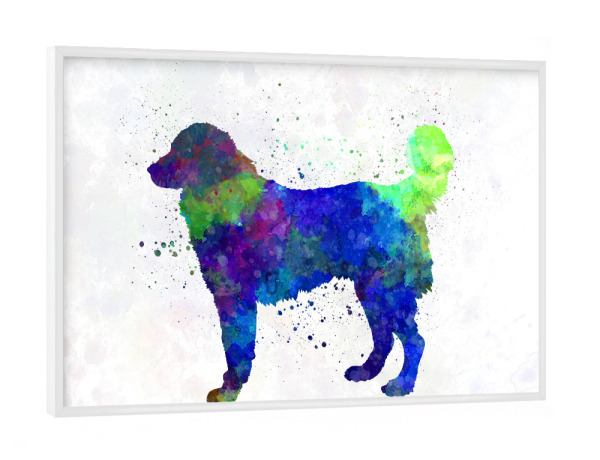 Poster mit weißem Rahmen "Southeastern European Shephed" artboxONE - Tiere,Abstrakt