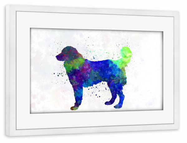 Poster mit Rahmen weiß "Southeastern European Shephed" artboxONE - Tiere,Abstrakt - Dog,Dogs,Pet,Animal,Mammal,Watercolor,Illustration,Abstract,Hund