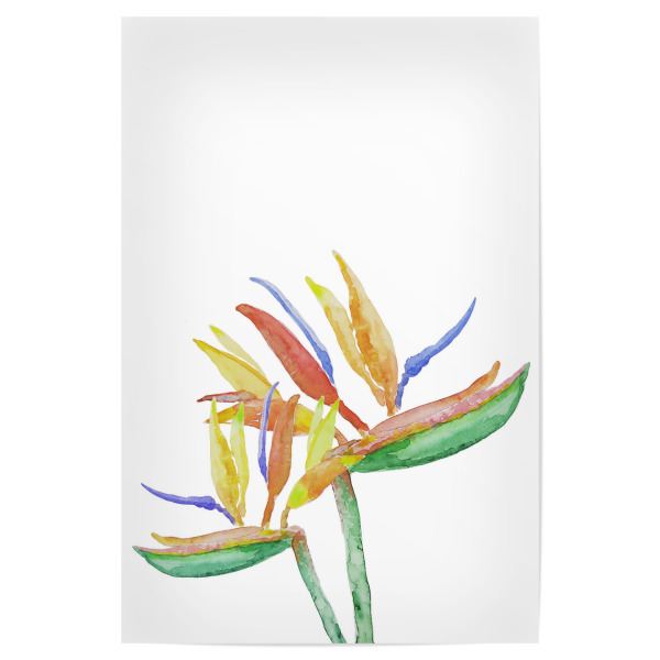 Poster 30x20 cm "Strelitzia Blossoms" artboxONE - Natur,Floral