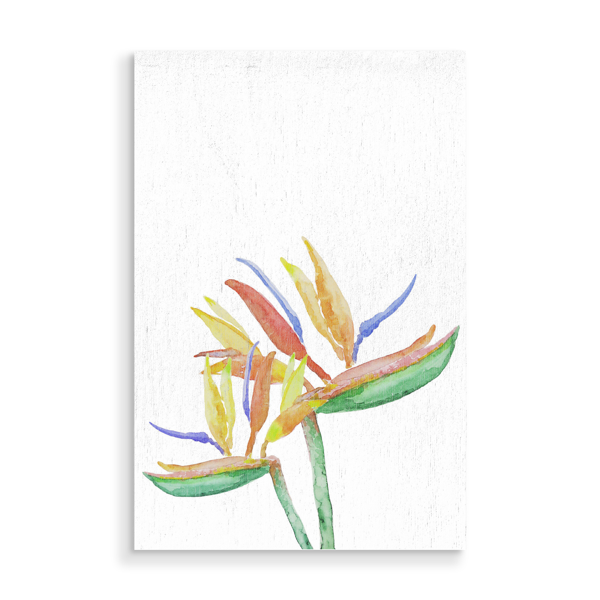 Holzbild "Strelitzia Blossoms" artboxONE - Natur,Floral