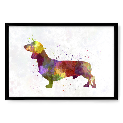 Dachshund in watercolor