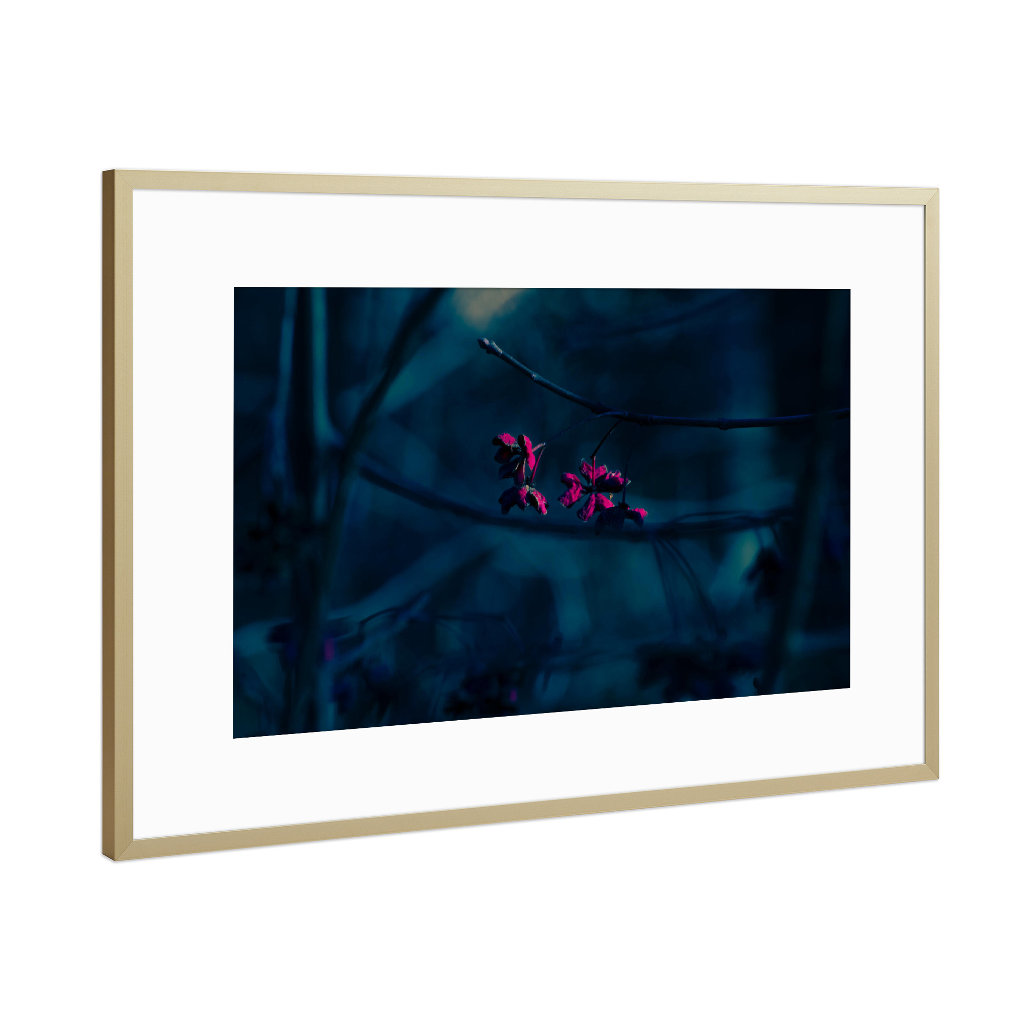 Poster mit Rahmen Gold "Rote Blüten" artboxONE - Natur,Floral