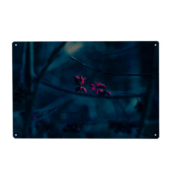 Holzbild "Rote Blüten" artboxONE - Natur,Floral