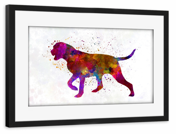 Poster mit Rahmen schwarz "Portuguese Pointer in watercolor" artboxONE - Tiere,Abstrakt