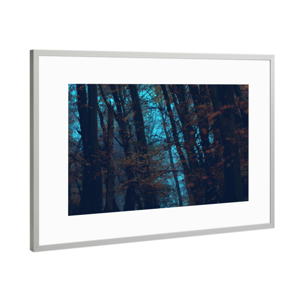 Poster mit Rahmen Silber "Hexenwald" artboxONE - Natur