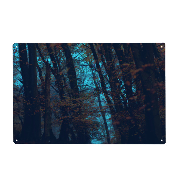 Metall Poster "Hexenwald" artboxONE - Natur