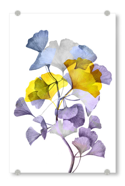 Acrylglasbild "Ginko pastel" artboxONE - Natur,Floral