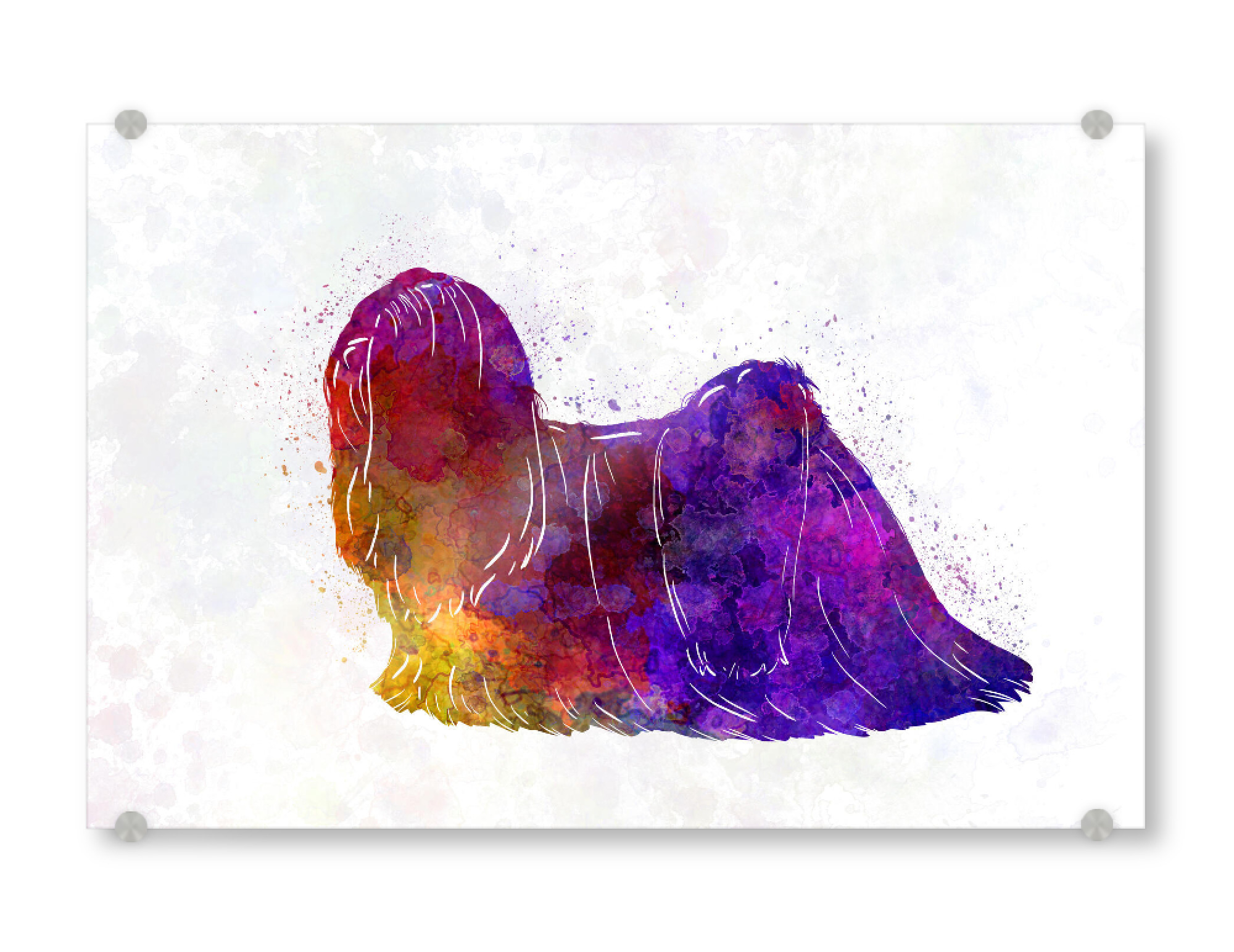 Acrylglasbild "Lhasa Apso in watercolor" artboxONE - Tiere,Abstrakt - Dog,Pet,Animal,Mammal,Watercolor,Abstract,Hund,Tier,Bunt,Colorful