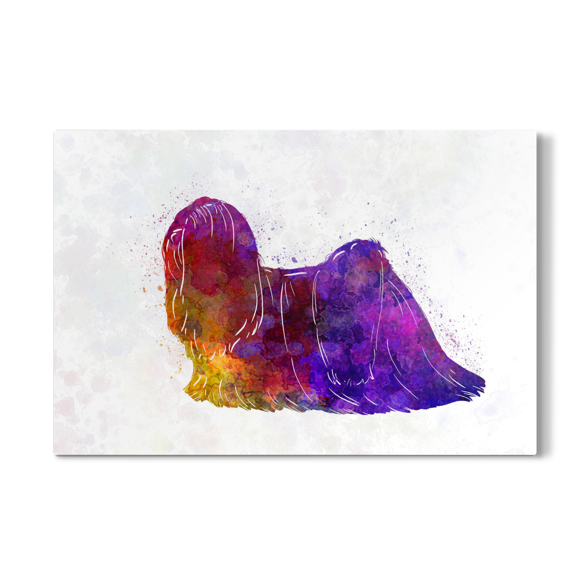 Galerie-Print "Lhasa Apso in watercolor" 75x50 cm artboxONE